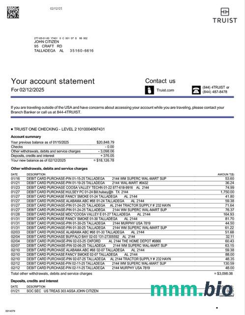 USA TrueCore Federal Credit Union konto statement szablon Worda i PDF, 2 stronas
